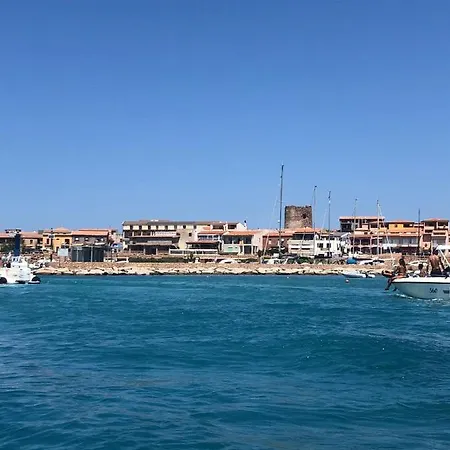 Il Corbezzolo *